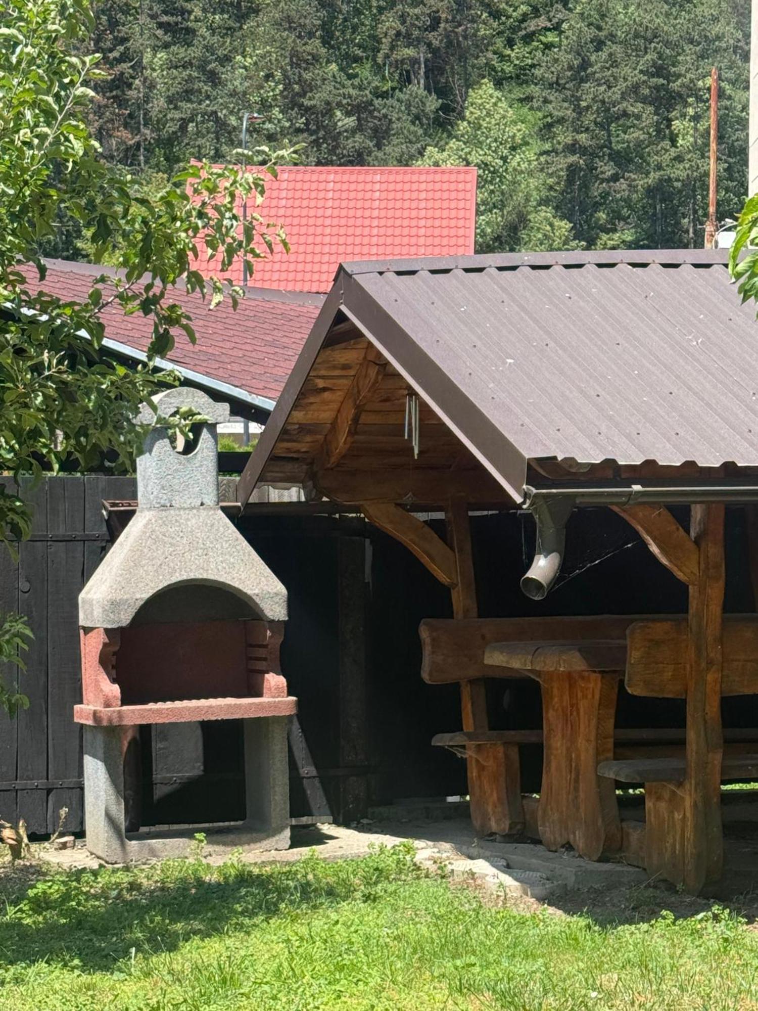 Pensiunea Carina Bran  Exterior foto