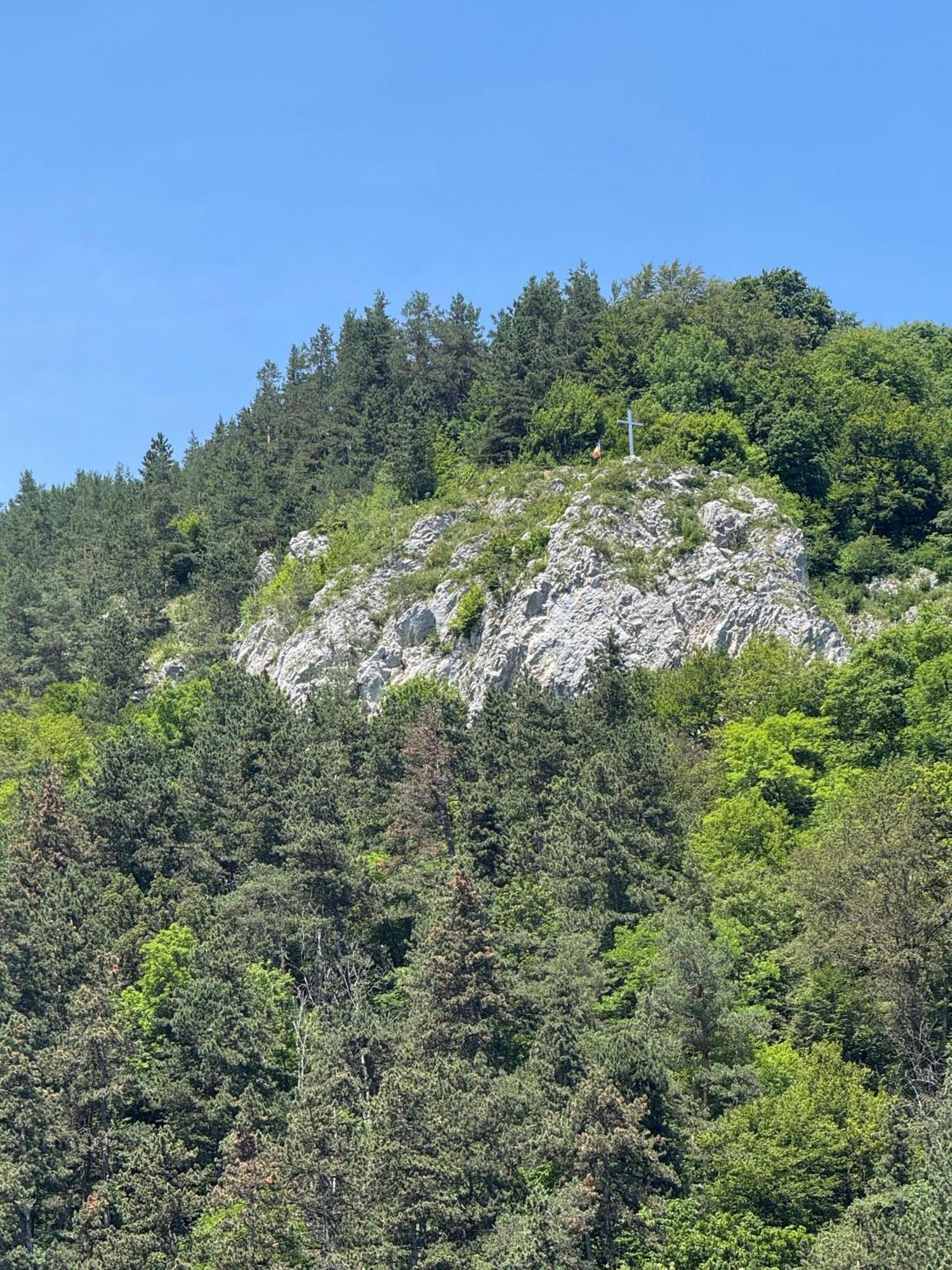 Pensiunea Carina Bran  Exterior foto